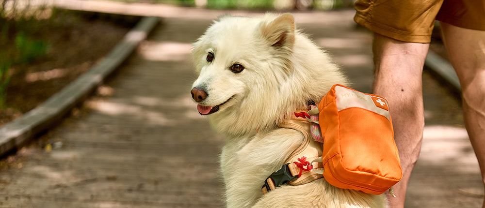 Pet Medic